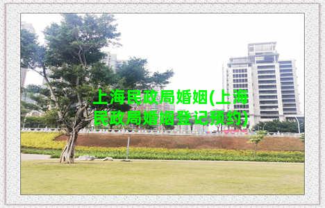 上海民政局婚姻(上海民政局婚姻登记预约)